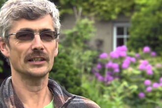 ralf-dammasch-todesursache-wikipedia